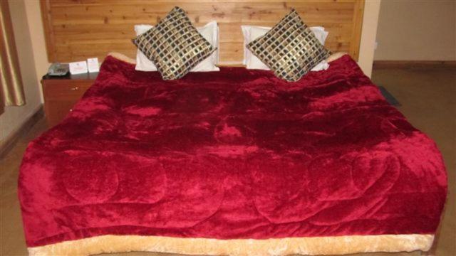 Golden Dolma Hotel Darjeeling  Room photo