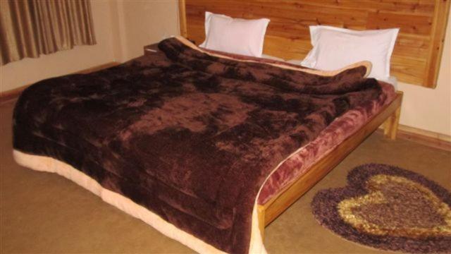 Golden Dolma Hotel Darjeeling  Room photo